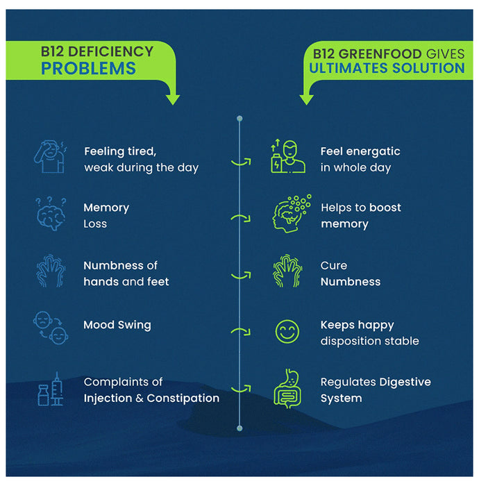 B12 Green Food B12 Green Food Powder (400gm Each) Elaichi