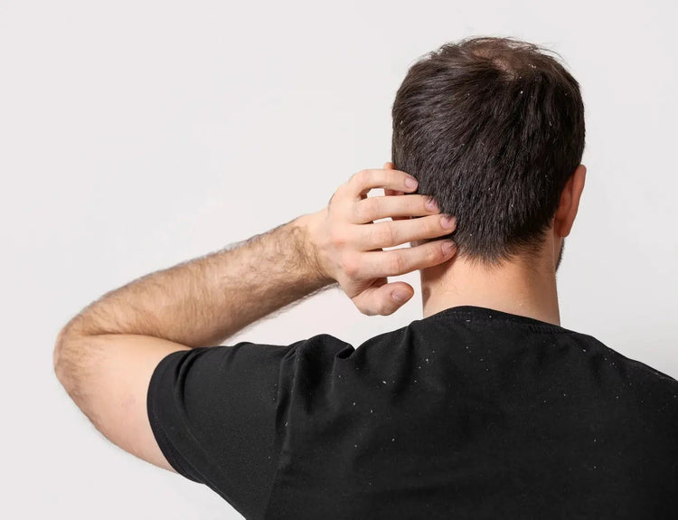 Haircare Collection - Classic Derma