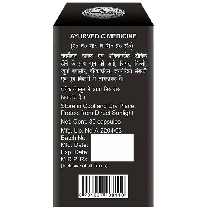 Baidyanath (Noida) Shodhit Shilajit Capsule