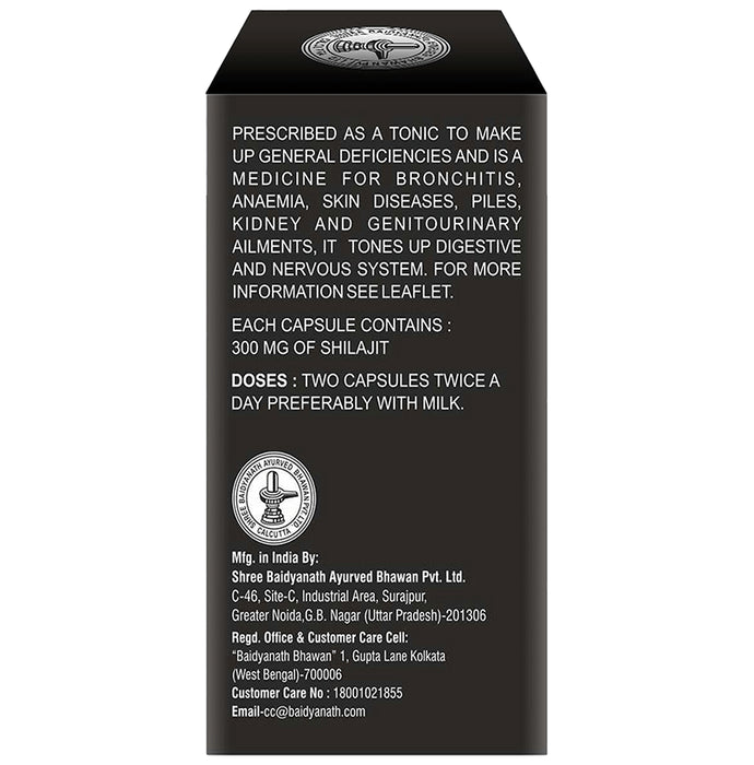 Baidyanath (Noida) Shodhit Shilajit Capsule