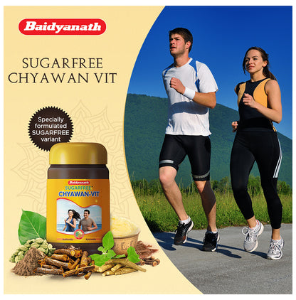 Baidyanath Chyawan-Vit Sugarfree Chyawanprash for Boosting Immunity