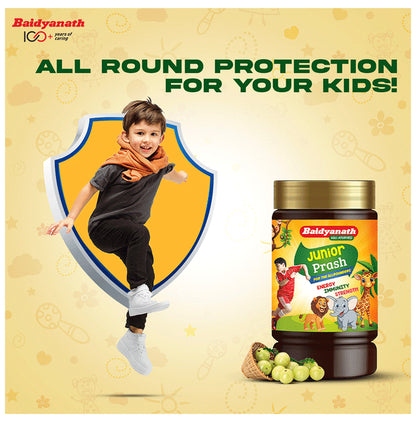 Baidyanath Junior Prash for the All Rounders Energy Immunity Strength