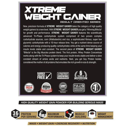 Big Muscles Xtreme Weight Gainer Milk Chocolate
