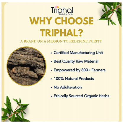 Triphal Babool Bark/ Kikar Chaal/ Babul Bark/ Babool Chhal/ Acacia Tree Bark Powder